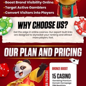 15 casino premium domains homepage PBN backlinks-01 (3).jpg