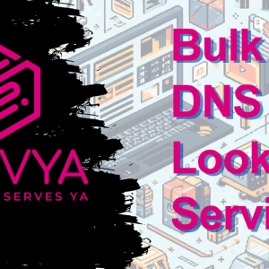 Bulk-Dns-Lookup-Service.png