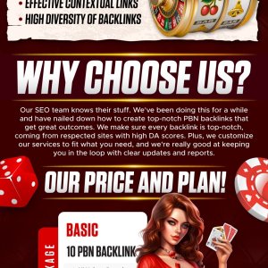10 High Authority DA50+ PBN Backlinks-01.jpg