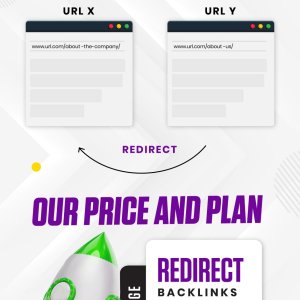 DA 90 Plus Redirect Backlinks-01 (1).jpg