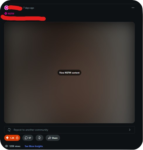 0-100k NSFW Reddit Followers using AI (With Video Case Study)