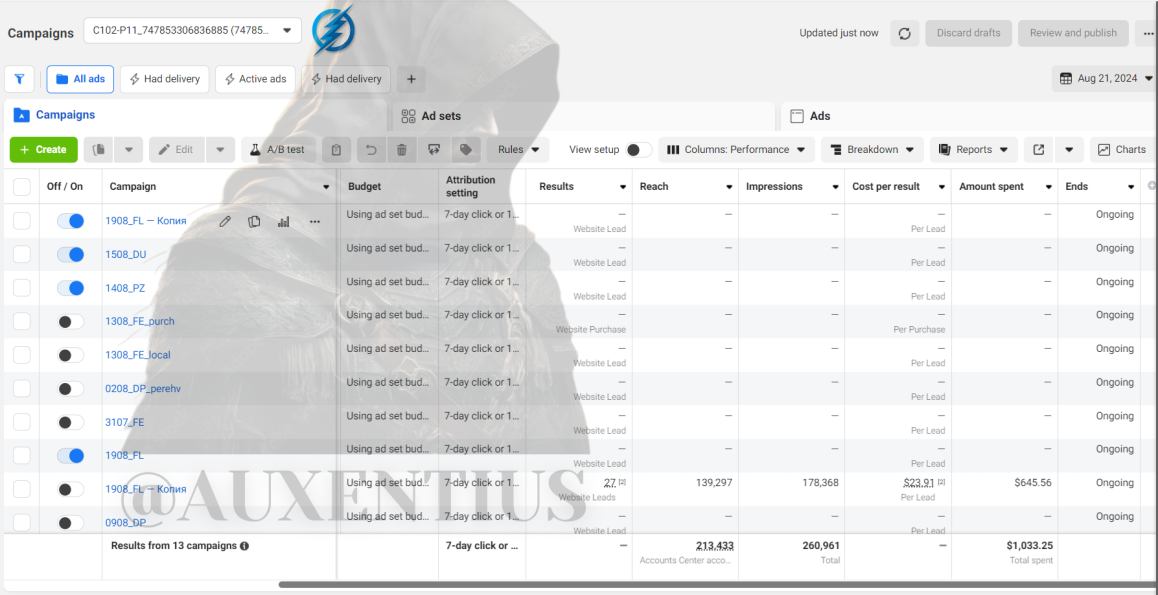 Auxentius FB ads account rental service