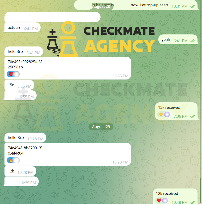 BILLS FROM CHECKMATE AGENCY