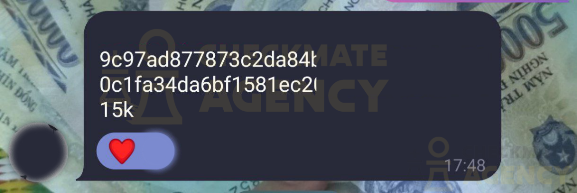 BILLS FROM CHECKMATE AGENCY