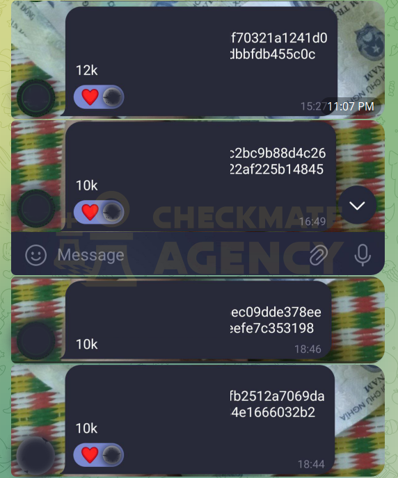 BILLS FROM CHECKMATE AGENCY