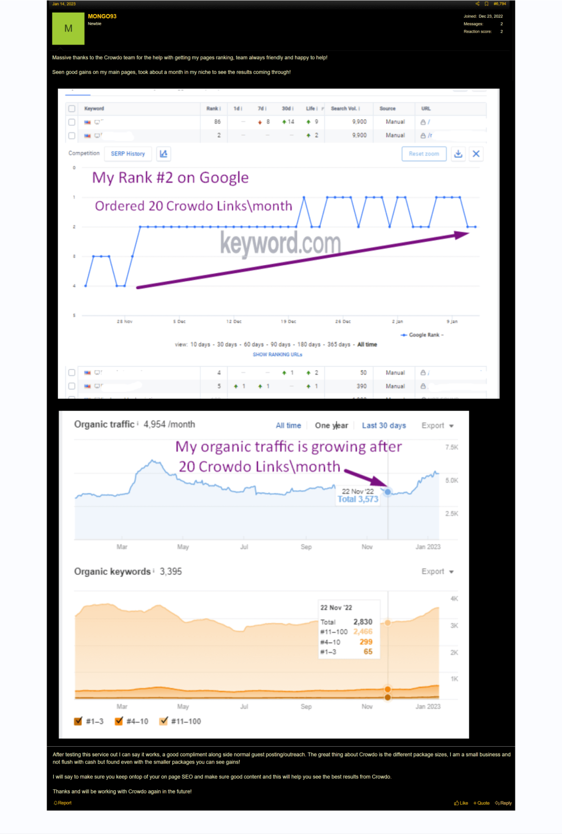 crowdo_links_review_7.png