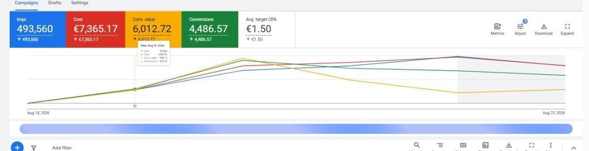 Google Ads dashboard - case 2 (redacted)