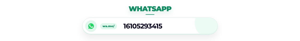 guest-post-07-whatsapp.png