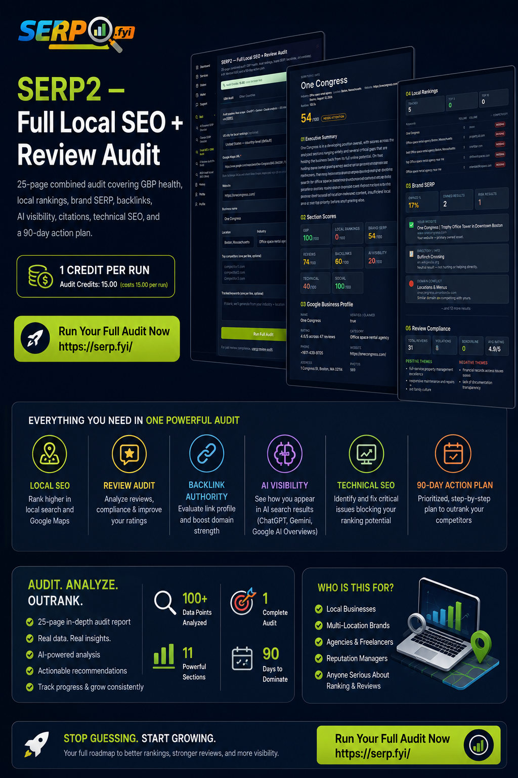Local SEO + ORM Audit.png