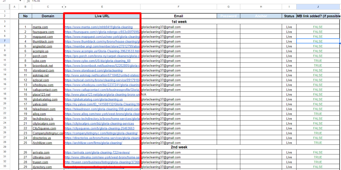 local SEo.png