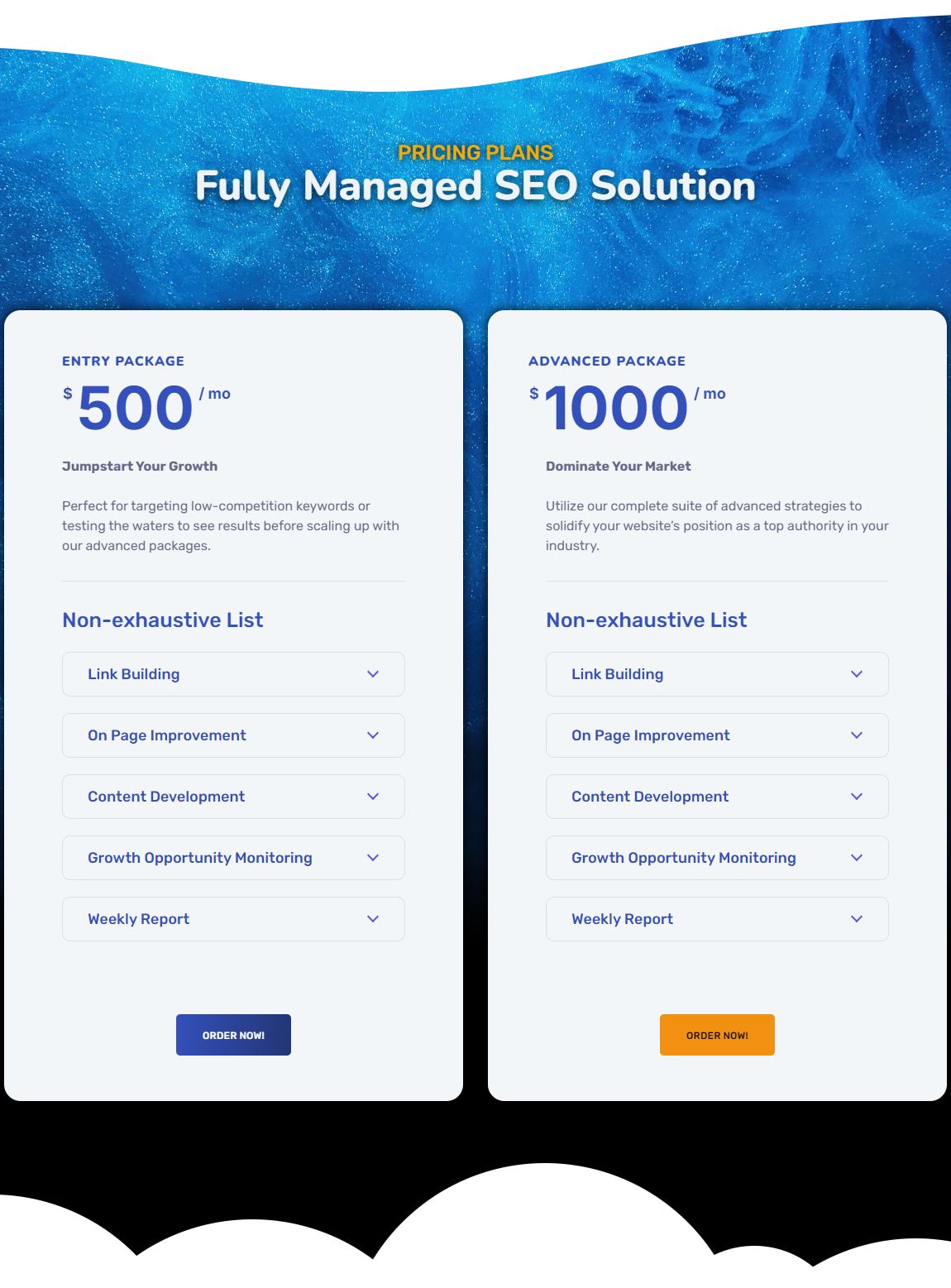 Monthly SEO - Fully managed_11.jpg