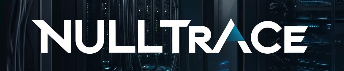 nulltrace.su_banner_fastflux.jpg