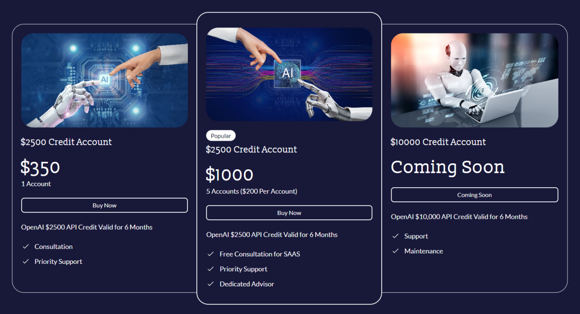 OPenAI Credit Bank