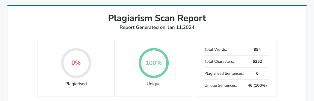 Plagiarism Report 01.png