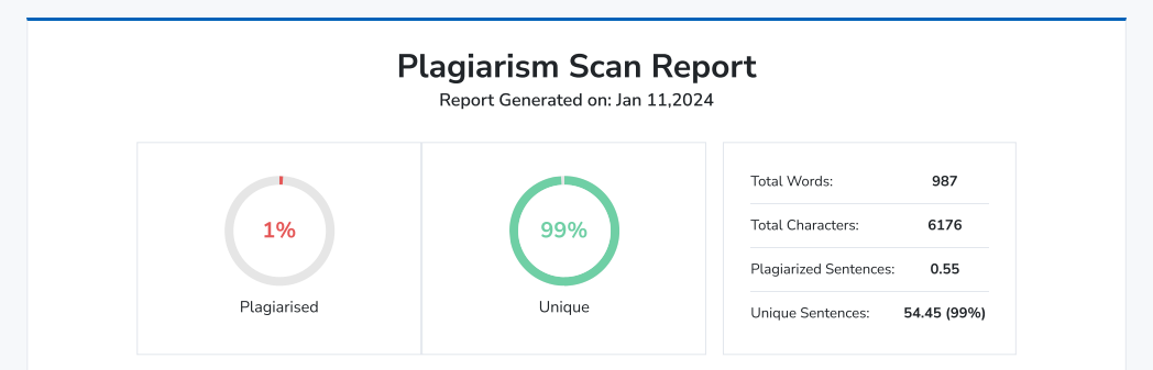 Plagiarism Report 02.png