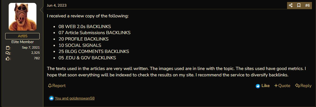 review copy SEO PACKAGE .PNG