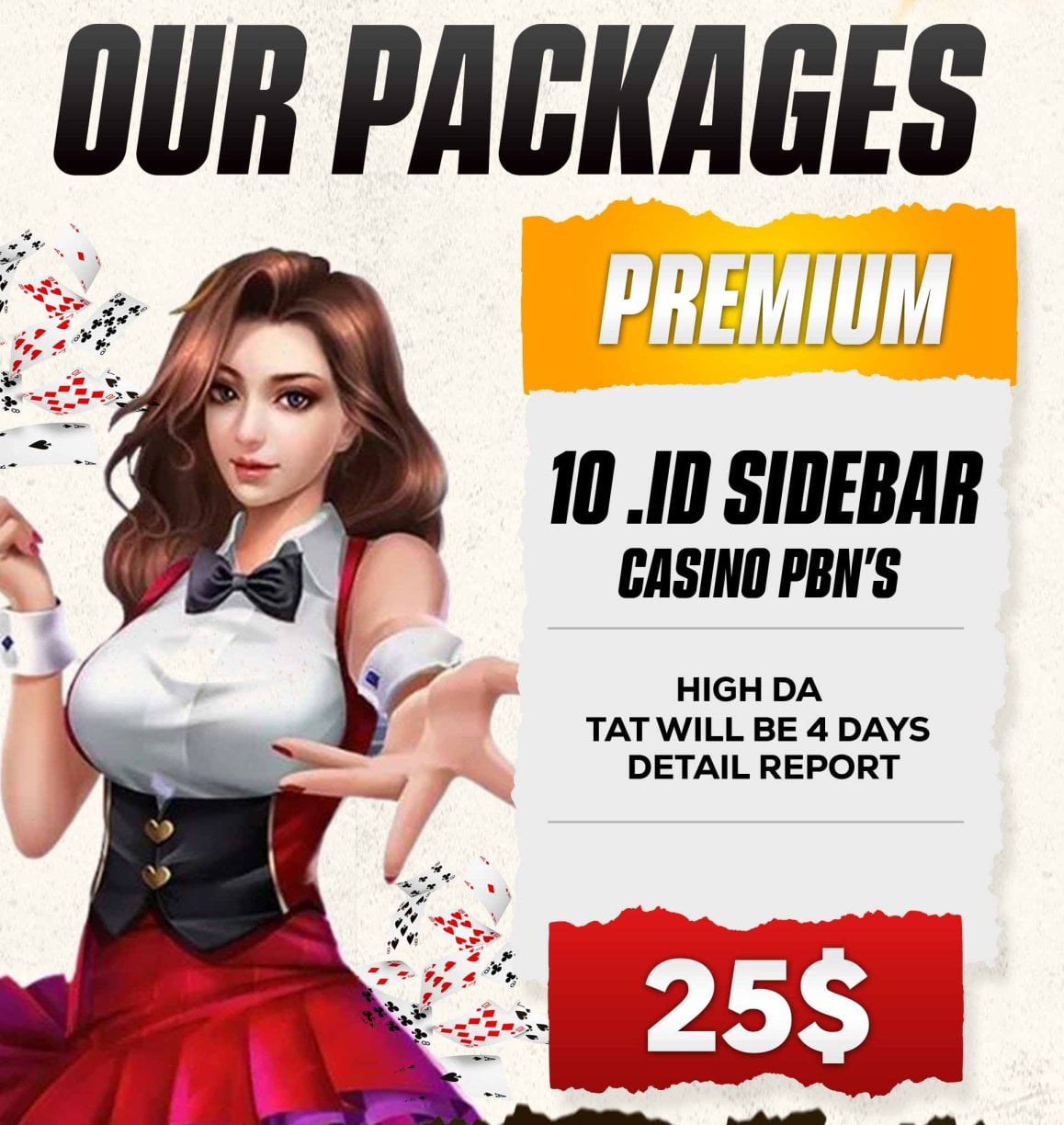 SEO PBN PACKAGES
