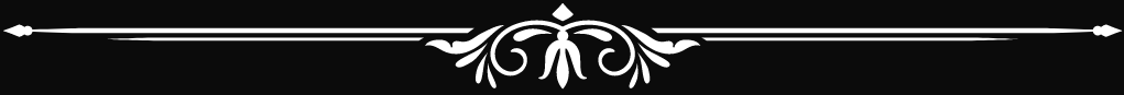 Seperator-Top-inverted.png