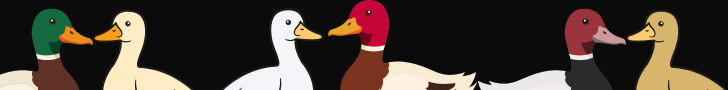 signa.png