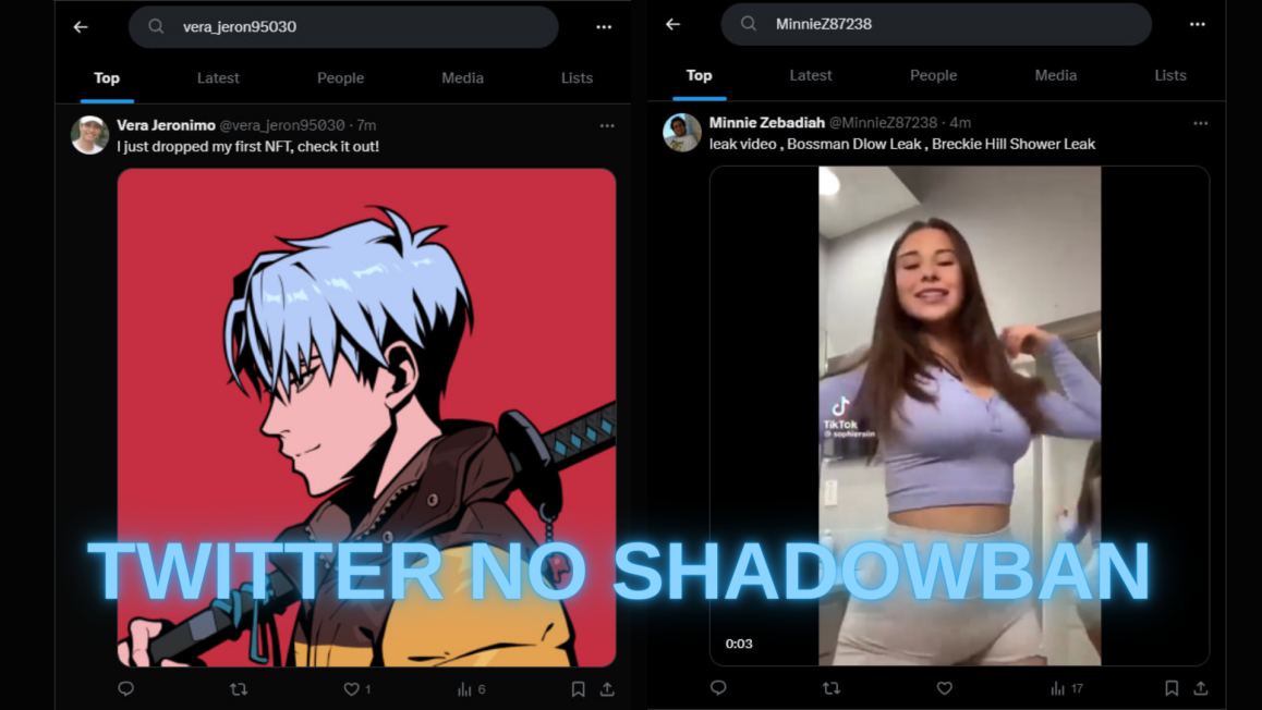 TWITTER NO SHADOWBAN.png