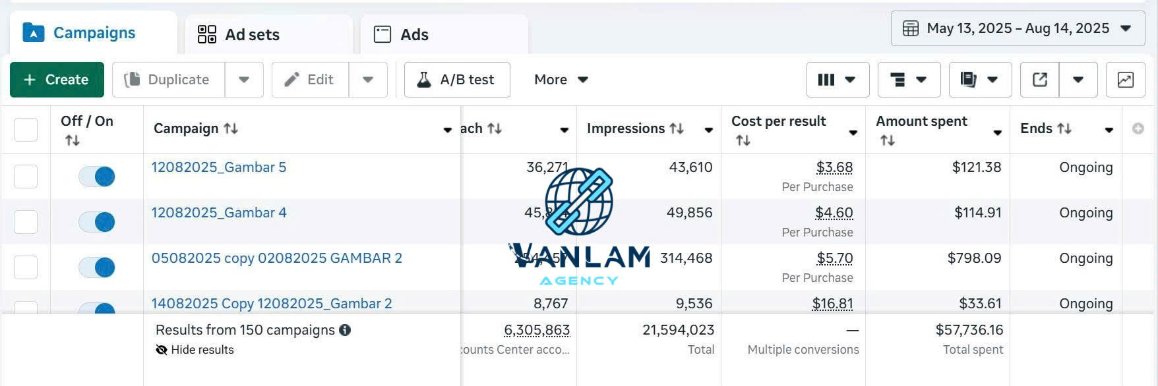 Van Lam Campaigns 2.jpg